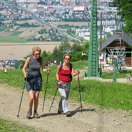 Harmonia Bolfenk Pohorje Hočko Pohorje